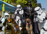 gonetothedogs.jpg